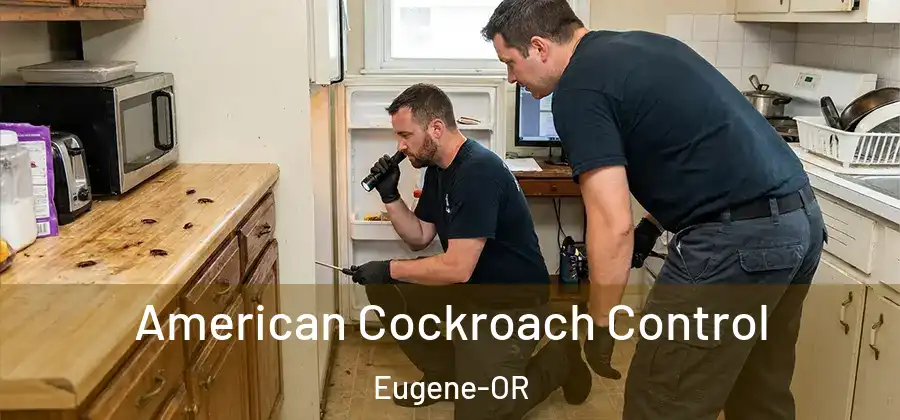 American Cockroach Control Eugene-OR