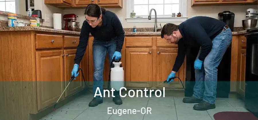 Ant Control Eugene-OR