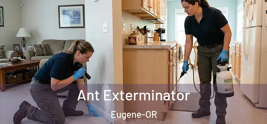 Ant Exterminator Eugene-OR