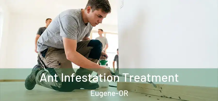  Ant Infestation Treatment Eugene-OR