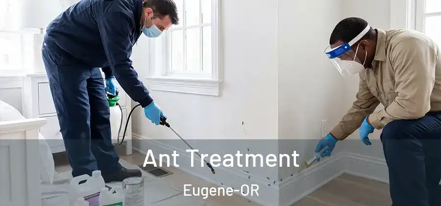 Ant Treatment Eugene-OR