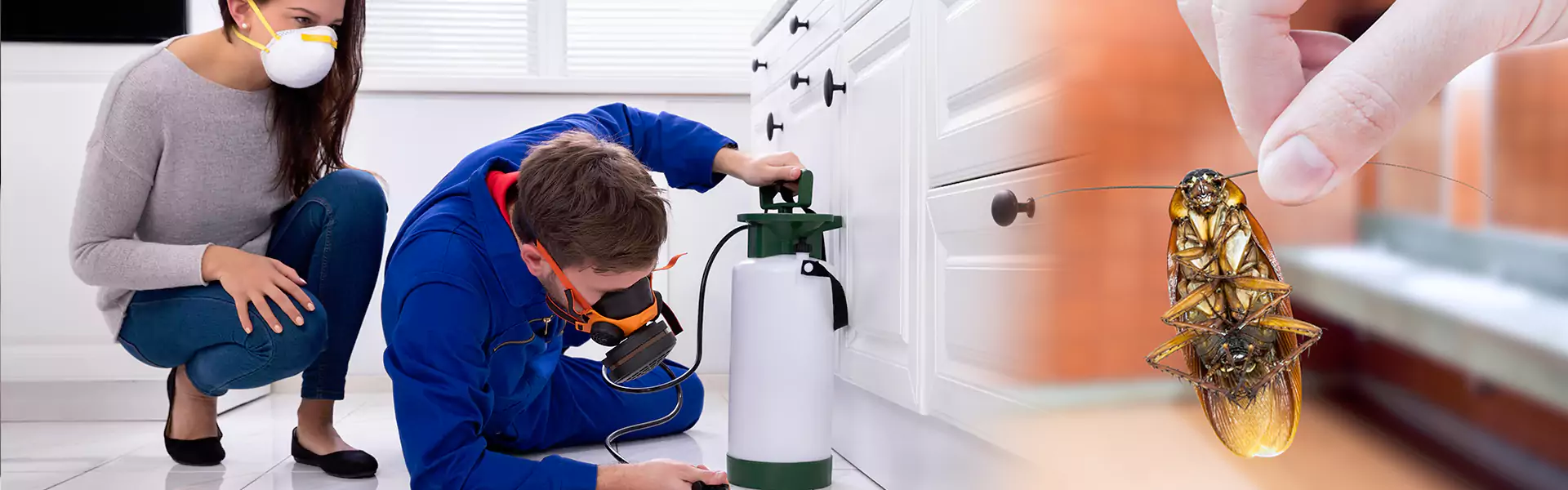 Roach Control