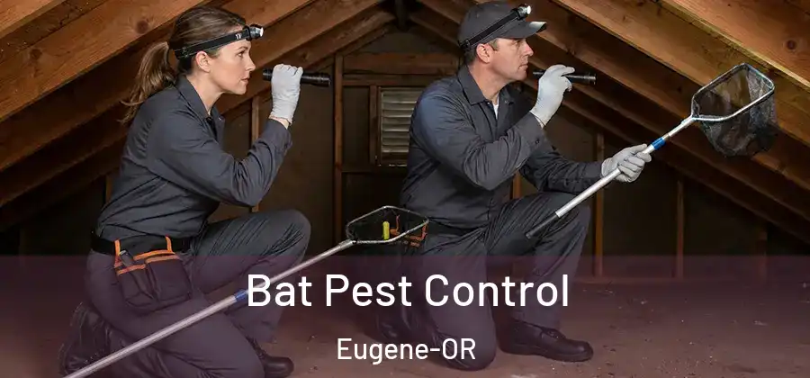 Bat Pest Control Eugene-OR