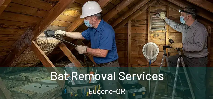 Bat Removal Services Eugene-OR