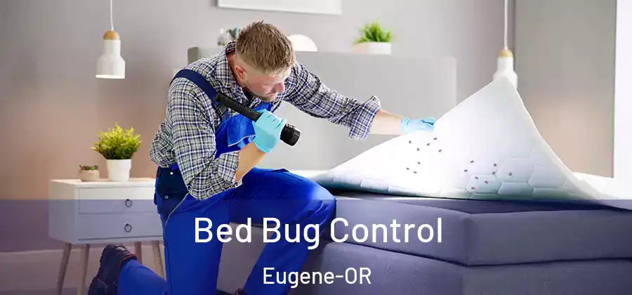  Bed Bug Control Eugene-OR