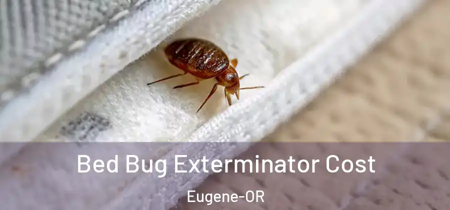Bed Bug Exterminator Cost Eugene-OR