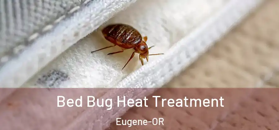 Bed Bug Heat Treatment Eugene-OR
