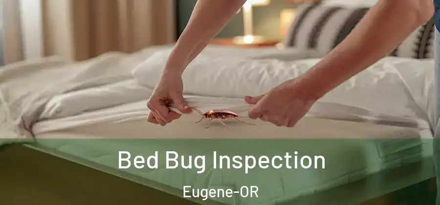 Bed Bug Inspection Eugene-OR