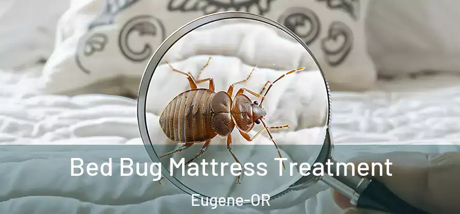 Bed Bug Mattress Treatment Eugene-OR