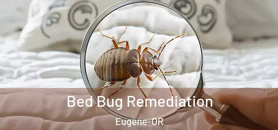Bed Bug Remediation Eugene-OR