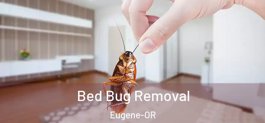  Bed Bug Removal Eugene-OR