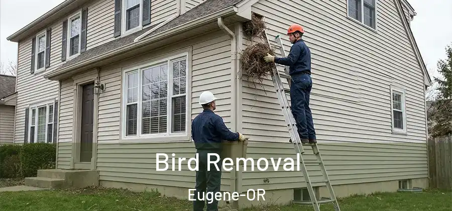 Bird Removal Eugene-OR