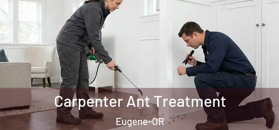 Carpenter Ant Treatment Eugene-OR