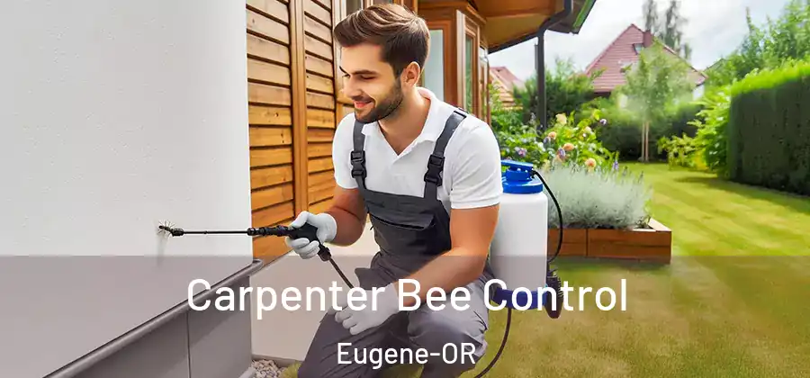 Carpenter Bee Control Eugene-OR