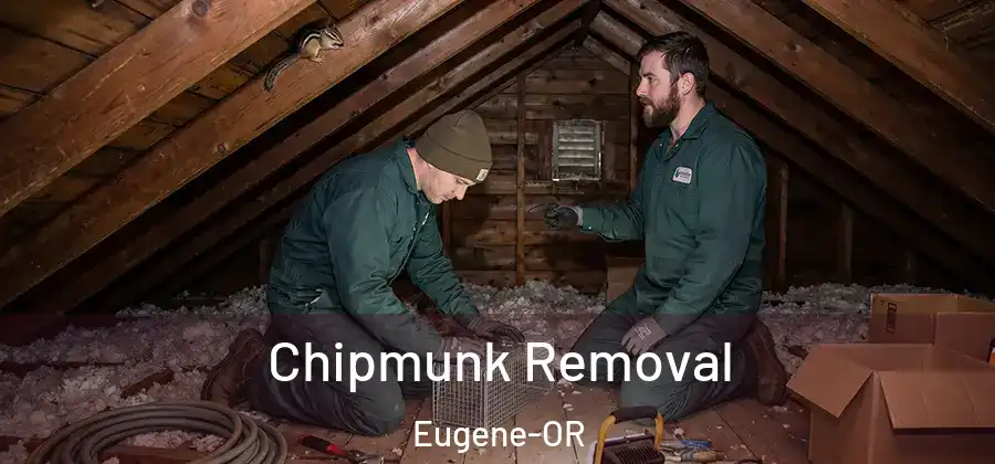 Chipmunk Removal Eugene-OR