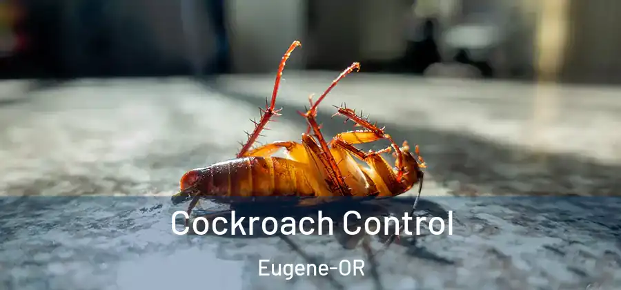 Cockroach Control Eugene-OR