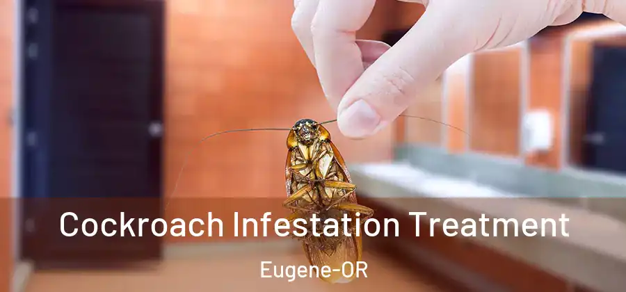 Cockroach Infestation Treatment Eugene-OR