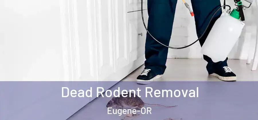 Dead Rodent Removal Eugene-OR