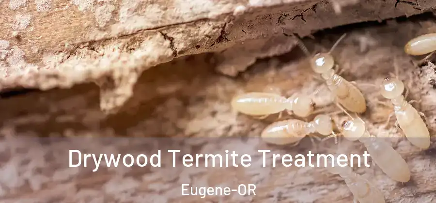 Drywood Termite Treatment Eugene-OR