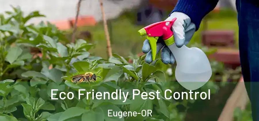 Eco Friendly Pest Control Eugene-OR