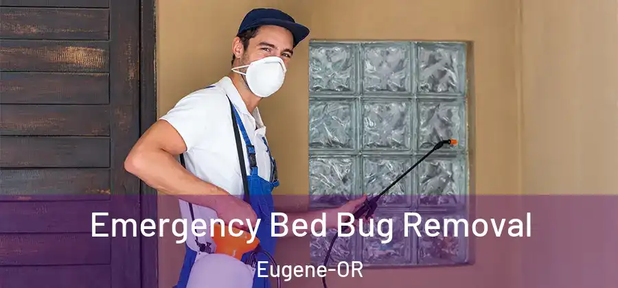Emergency Bed Bug Removal Eugene-OR