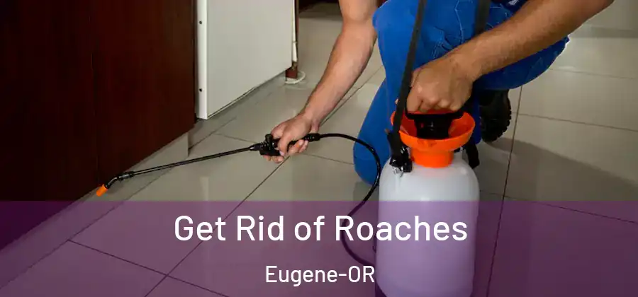Get Rid of Roaches Eugene-OR