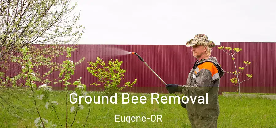 Ground Bee Removal Eugene-OR