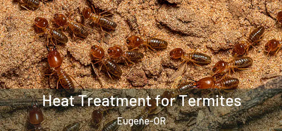 Heat Treatment for Termites Eugene-OR