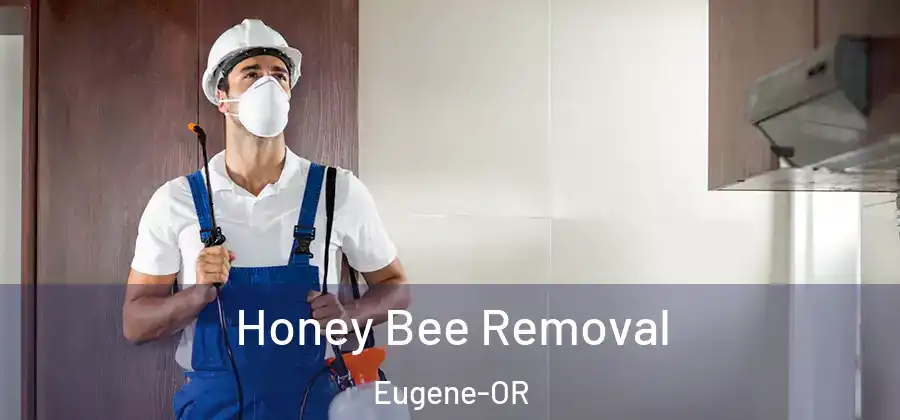  Honey Bee Removal Eugene-OR
