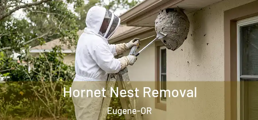 Hornet Nest Removal Eugene-OR
