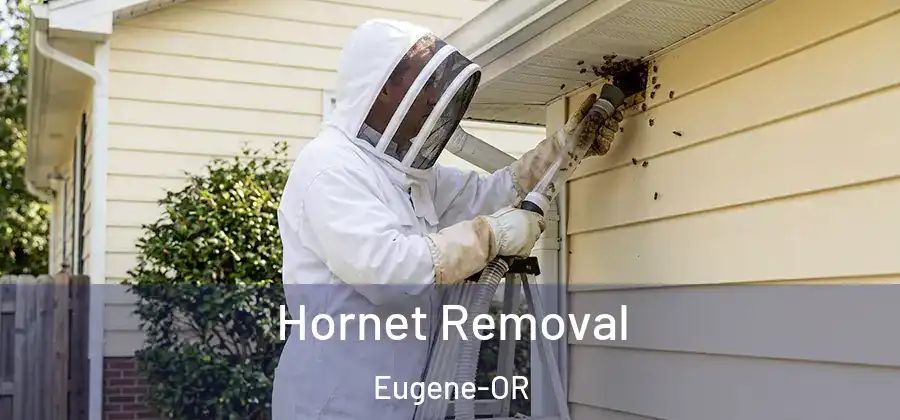 Hornet Removal Eugene-OR