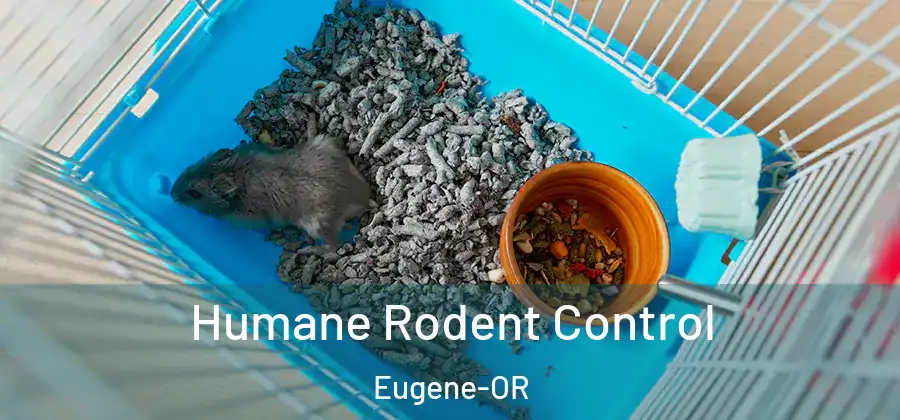 Humane Rodent Control Eugene-OR