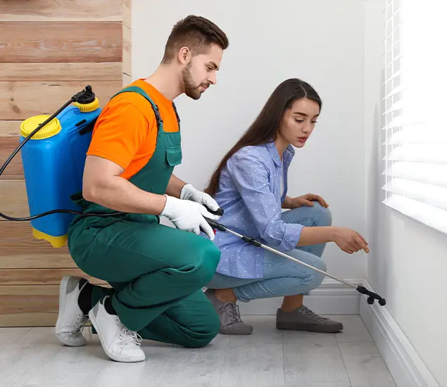 Trusted Affordable Bed Bug Treatment Experts in Eugene, OR