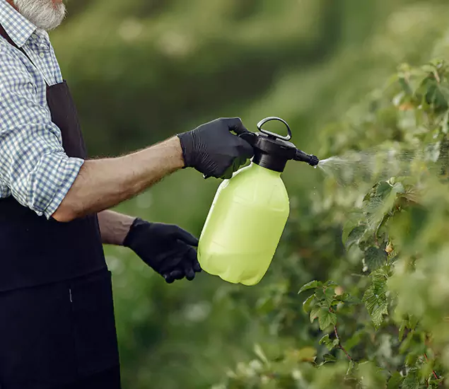 Your Proven Mosquito Treatment Company in Eugene, OR