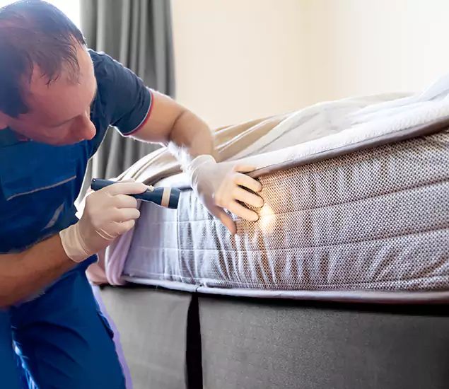 Trusted Bed Bug Cost Experts in Eugene, OR