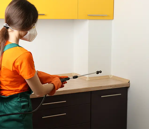 Trusted Bed Bug Pest Control Specialist in Eugene, OR