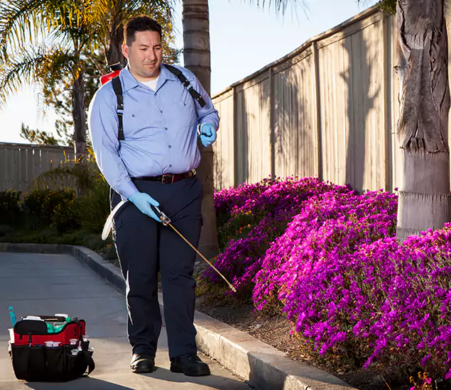About Our Eco Safe Pest Control Experts in Eugene, OR
