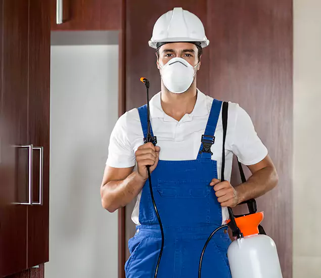 Trusted Exterminator and Pest Exterminator Professionals in Eugene, OR