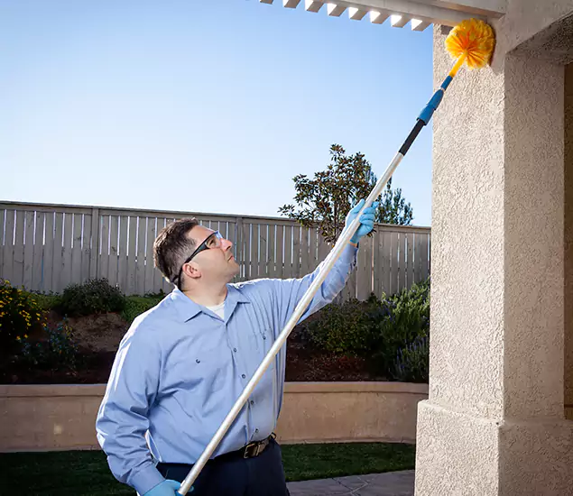 Trusted Experts in Eugene OR for Formosan Termite Treatment and Black Termite Control