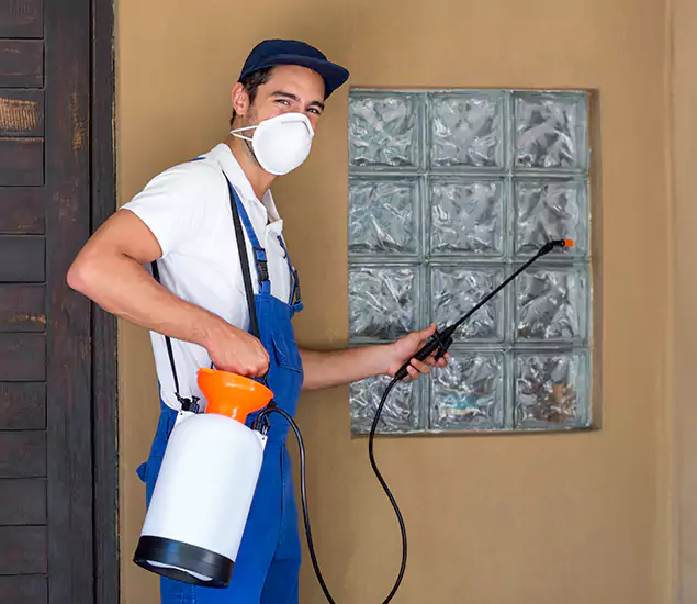 About Heat Treatment for Termites Experts in Eugene, OR