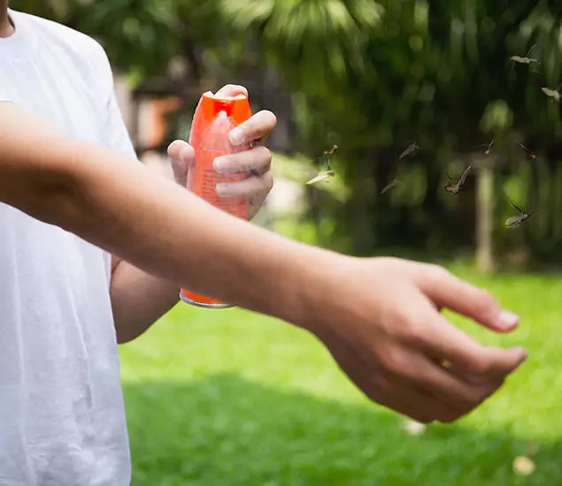 Your Best Indoor Bug Killer Team in Eugene, OR