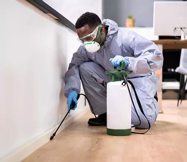 Leading Industrial Pest Control Experts Serving Eugene, OR