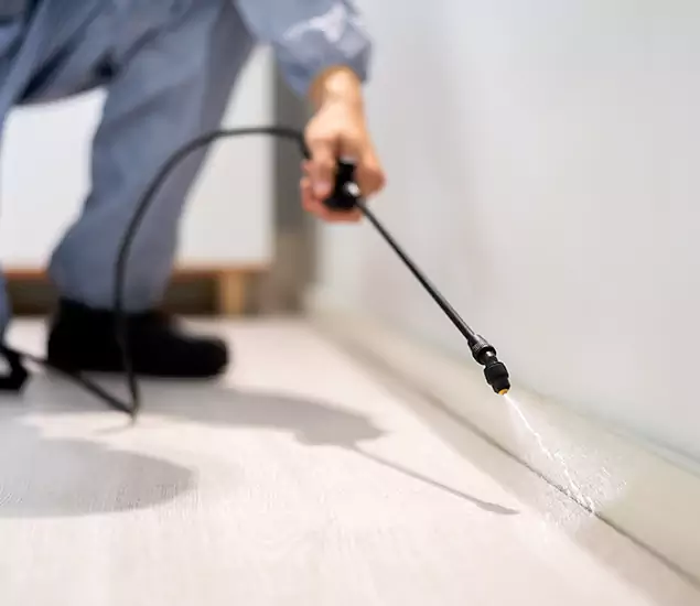 About Our Liquid Termite Treatment Experts in Eugene, OR
