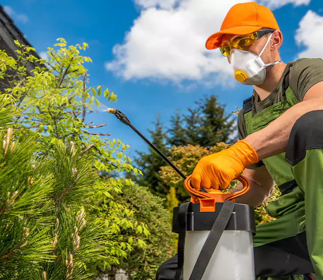 Your Mosquito Repellent Barrier Service in Eugene, OR