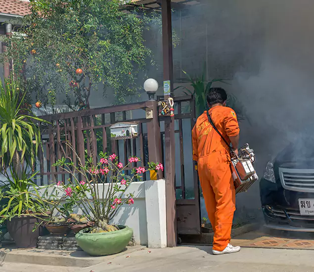 Your Proven Mosquito Fogging Company in Eugene, OR