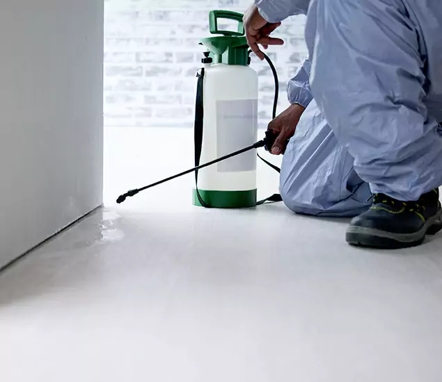 Affordable Pest Control Experts in Eugene, OR