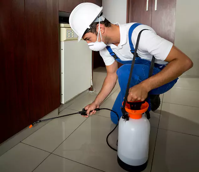 Advanced Termite Pre Treatment Experts in Eugene, OR