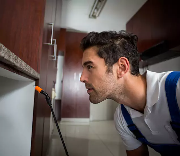 Expert Rodent in Attic Removal: Your Proven Pest Specialists in Eugene, OR