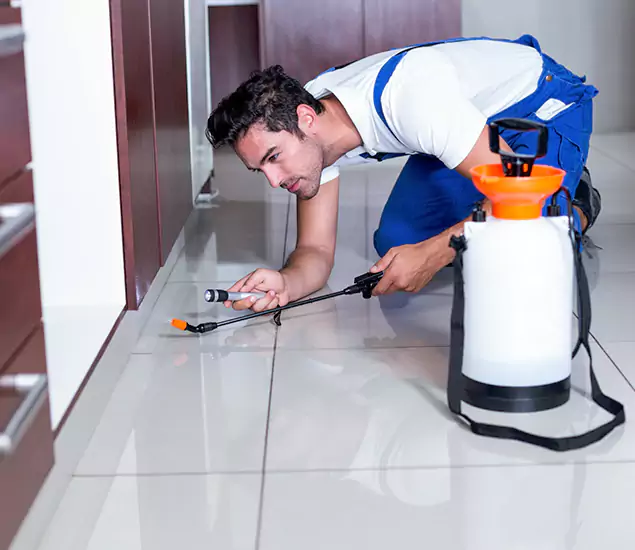 Advanced Slab Termite Treatment Experts You Can Trust&nbsp;in Eugene, OR