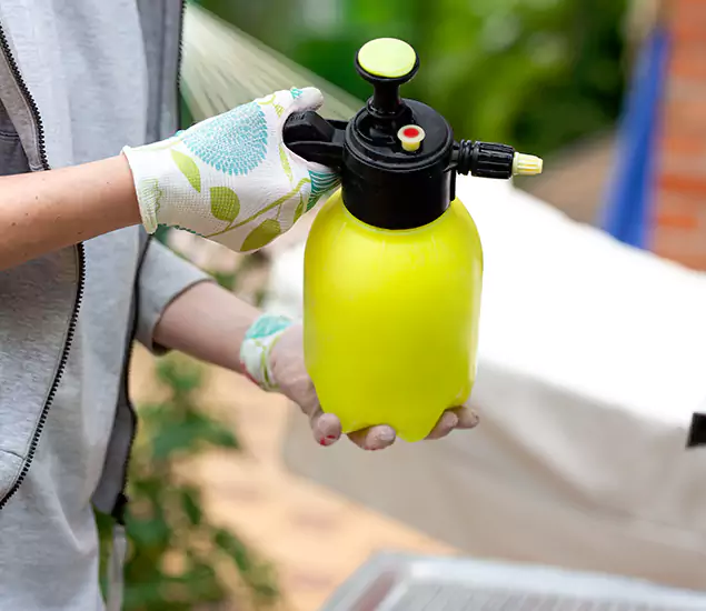Skilled Residential Small Black Ant Service in Eugene, OR
